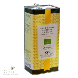 Huile d'Olive Extra Vierge Biologique Galantino