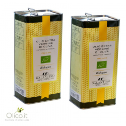 Organic Extra Virgin Olive Oil Galantino