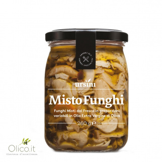 Mixed Mushrooms in extra virgin olive oil 260 gr