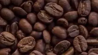 Offre Café italien en grains mélange ROUGE Vending Caffè Borbone 6 kg