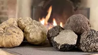 Panier cadeau pour amateur de truffes !